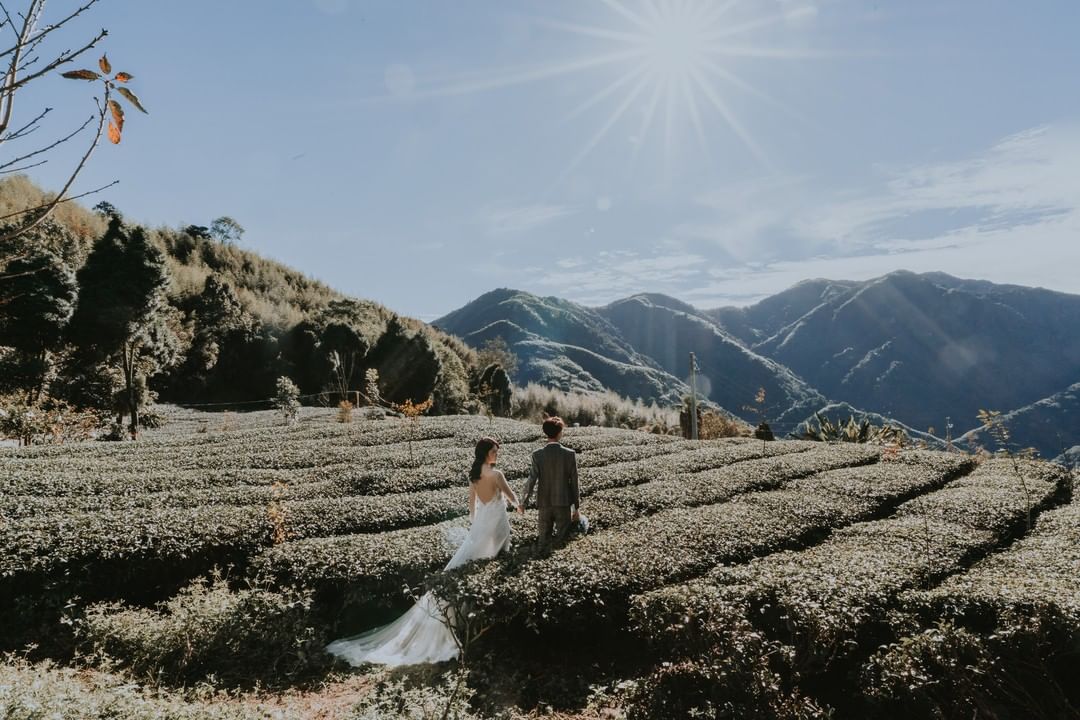 去年星光下婚禮記憶猶新每對新人洋溢幸福的面容每個對望都是彼此的認定‍❤️‍很快的，今年即將舉行了呢~#星光下婚禮 #阿里山婚拍 #...