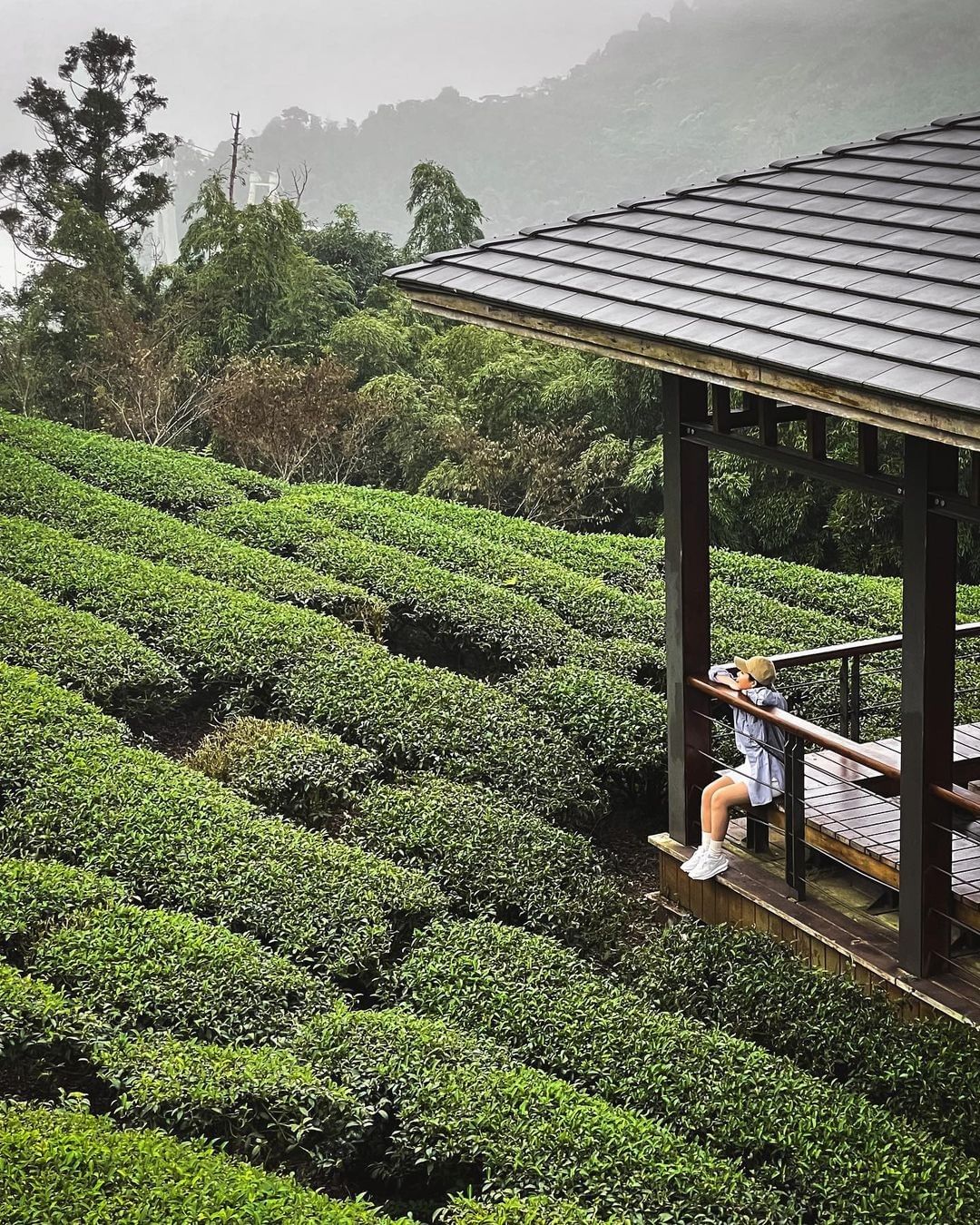 美好如初。（感謝 @oyetw 分享美照）-⠀歡迎在您的貼文 #travelalishan 或 @travelalishan曬曬阿...