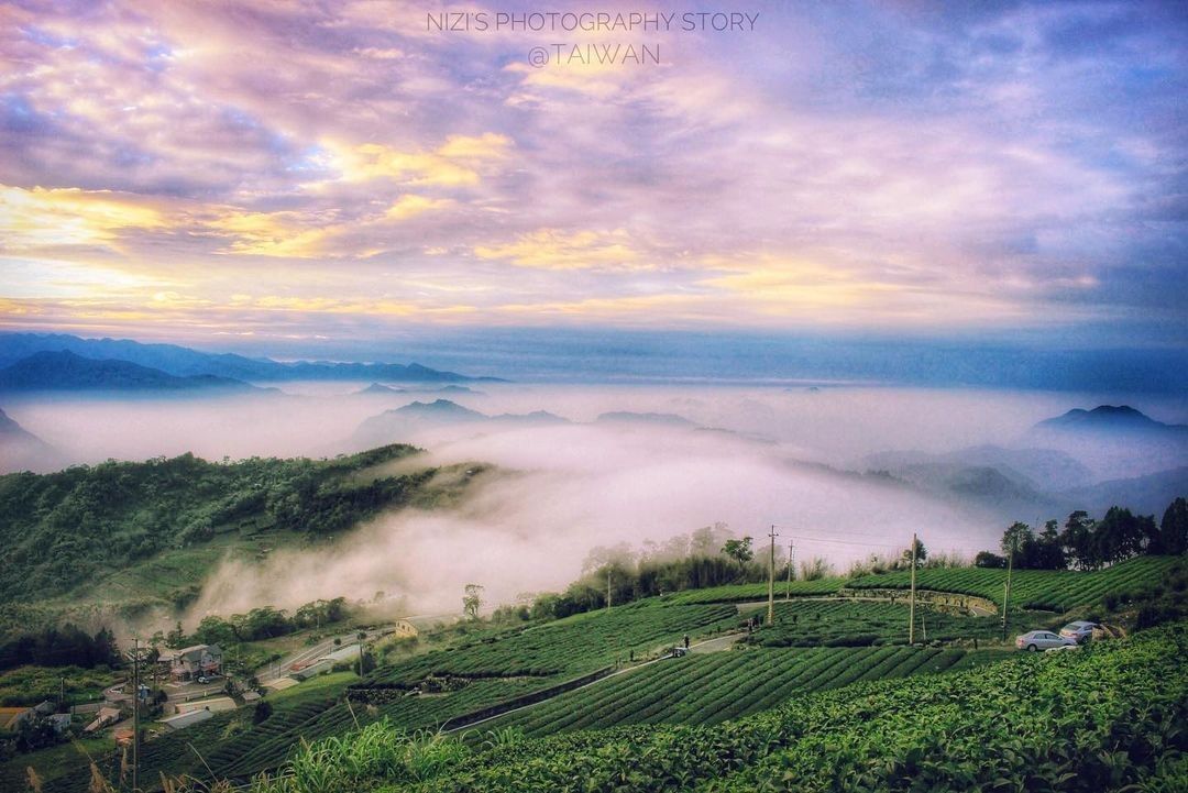 你問我，這裡是哪裡？我只能說，阿里山，處處是風景。（感謝 @ouyang_nizi1001 分享美照）-⠀歡迎在您的貼文 #tra...