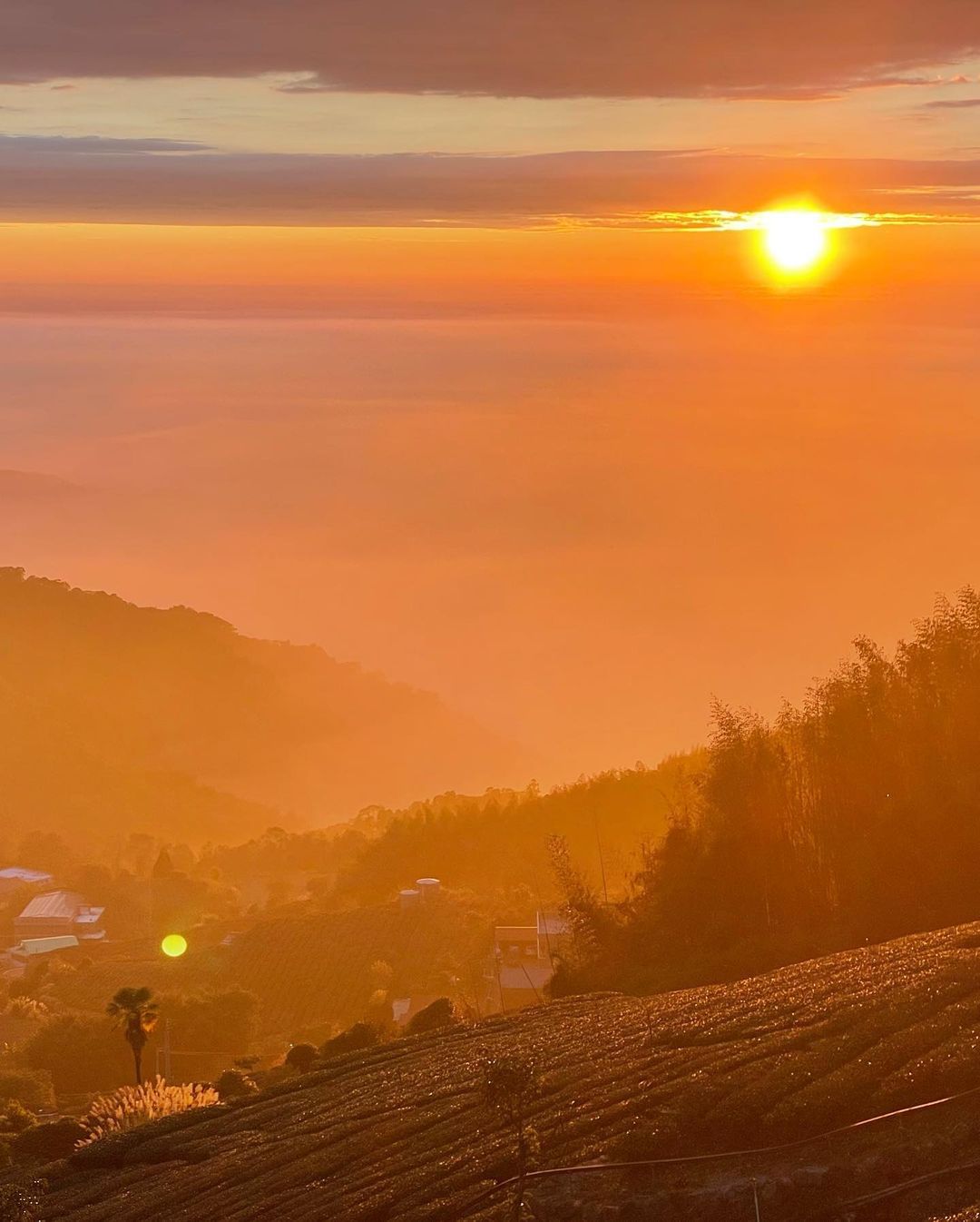 沐浴在夕陽餘暉之下，一顆心都被溫暖了照片授權 @s3291666 -⠀歡迎在您的貼文 #travelalishan 或 @trav...