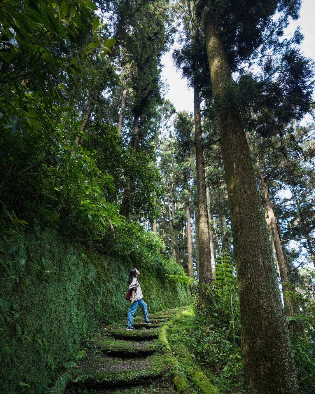 阿里山石棹秋天的山區越來越早起霧，若想獲得一點陽光，一早就出門吧！照片授權 @sabby.ph -⠀歡迎在您的貼文 #travel...