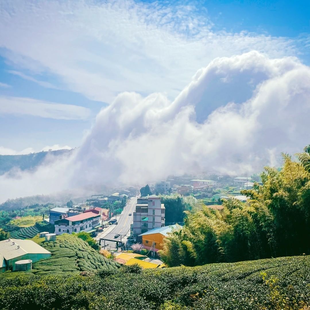 好美的雲瀑與阿里山公路街景( 小編不知道在哪裡的神拍視野 )照片授權 @davidshouse2015 -⠀歡迎在您的貼文 #tr...