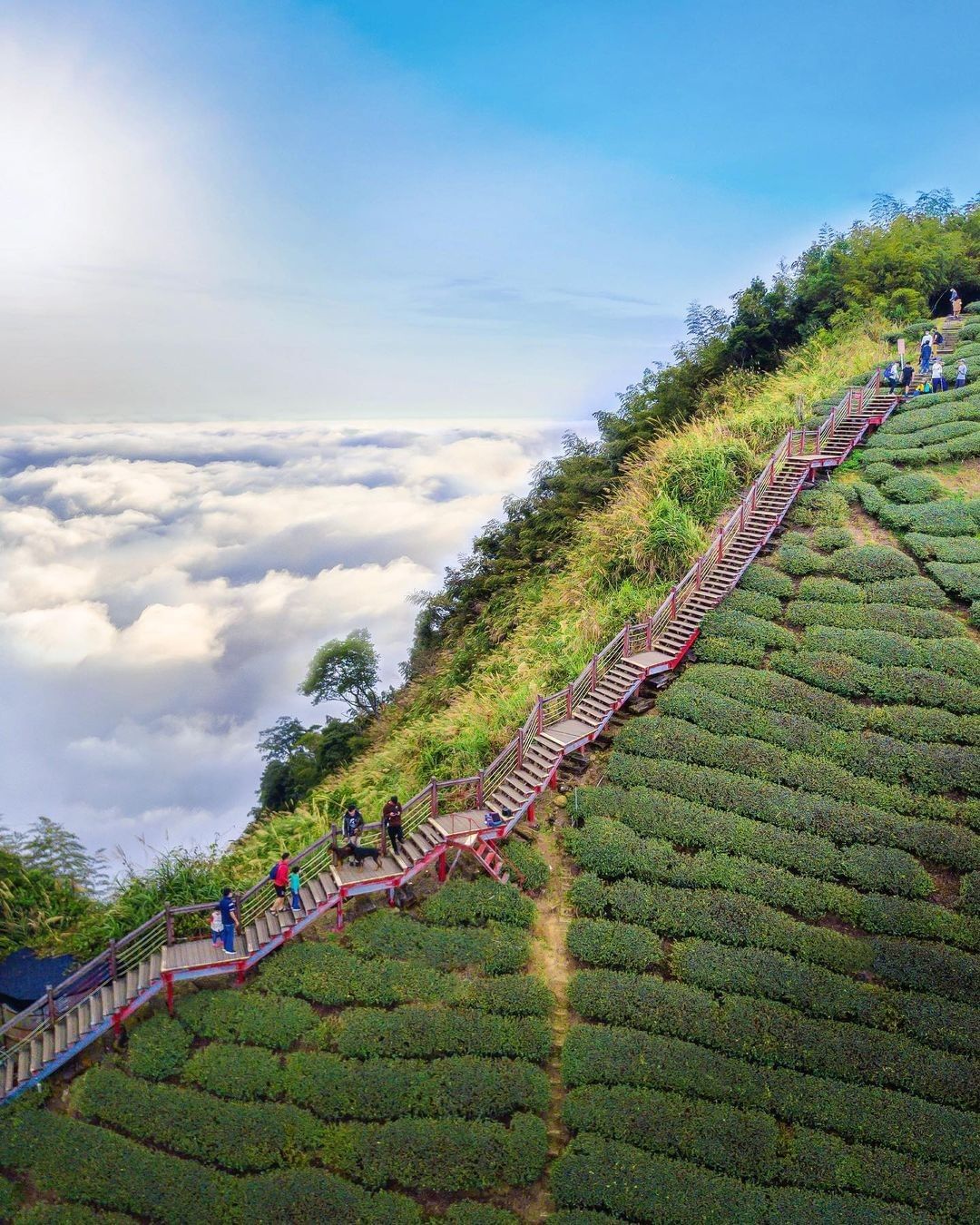 把二尖山步道拍的好仙啊~~~(尖叫)若沒看到雲海也值得網友說這裡是嘉義版的抹茶山呢其實阿里山很多地方都有海可以看就不用擠在同一個地...