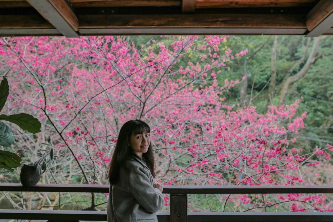 與家人來一次難得的、悠閒的下午茶吧！櫻花、雲海、夕陽一次滿足季節限定，別無分號。（感謝 @hoho147789 分享美照）-⠀歡迎...