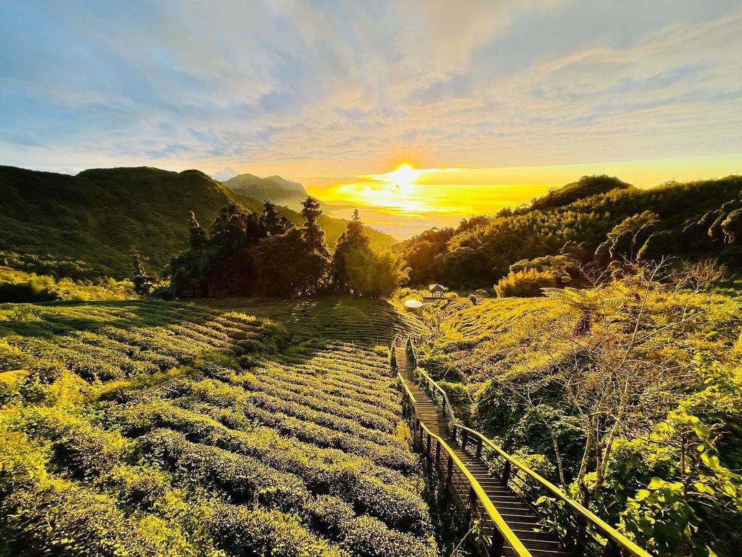 不經意的巧遇總能製造最大驚喜每次下山返程是不是都會有點捨不得~那就多停留一下下吧！感謝 @yian_1  美照分享-⠀歡迎在您的貼...