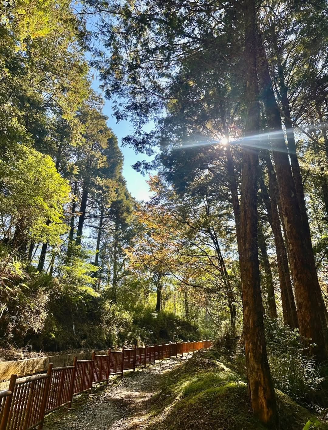 對高岳步道不同於夜裡的閃爍星空，白天是另一個樣貌的對高岳，喜歡沐浴在陽光之下，喜歡身旁吹拂而過的涼風，天氣放晴的那天，我們上山享受...
