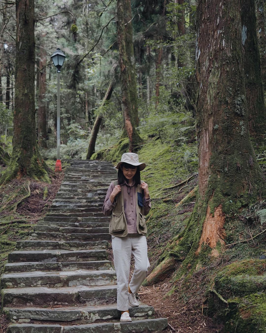 從沼平車站旁找到祝山觀日步道的出入口，走進森林裡，呼吸清新空氣，連接往對高岳觀景台的道路，冬天即將迎來賞楓的時機，森林、楓紅一次滿...