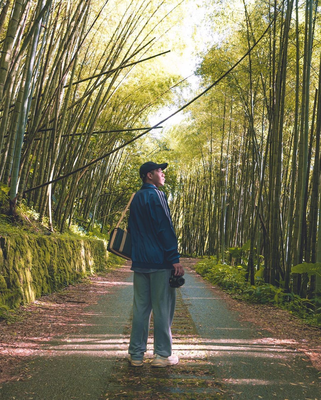 漫步在產業道路，走走停停，捕捉兩旁竹林與陽光的交織感謝 @lin_nn__ 美照分享-⠀歡迎在您的貼文及限動 #travelali...