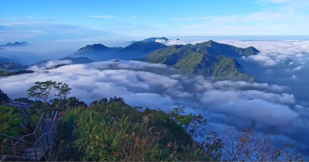 ☁ 雲海季最熱門的二延平步道......要舉辦〚2024阿里山四季茶旅—冬季茶會〛啦！兩天限定的茶香盛會，帶你沉浸在自然美景與冬日...