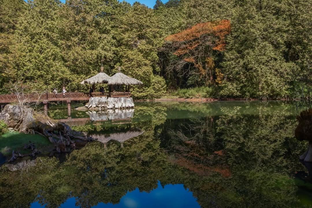森林與涼亭完美倒映在水面上，讓人忍不住望著發呆～雖然傳說帶著一點淒美，但眼前的這片景致，只留下滿滿的寧靜與療癒謝謝網友捕捉到這麼動...