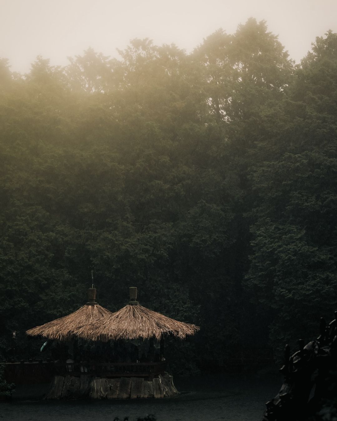 煙雨濛濛，為姊妹潭添上一抹淒美。今年雨水豐沛，枯水季節卻未見潭水退卻，水面依舊靜美，風光如初。感謝 @cyruss1016 美照分...