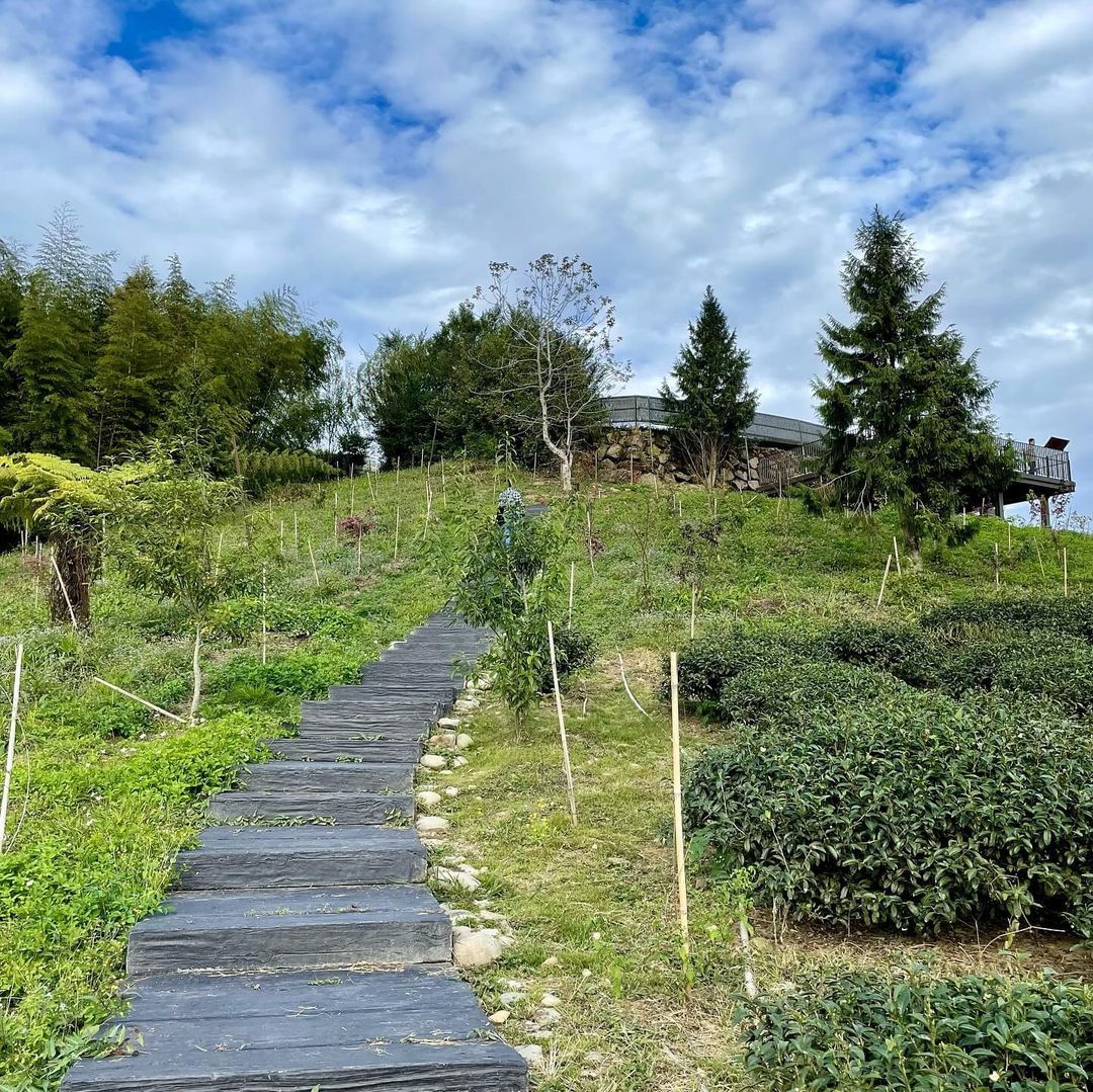 最近的二延平步道很熱鬧一不小心就出景了~好奇在附近的茶林山步道會有怎樣的風景呢！感謝 @jarden.photography 美照...