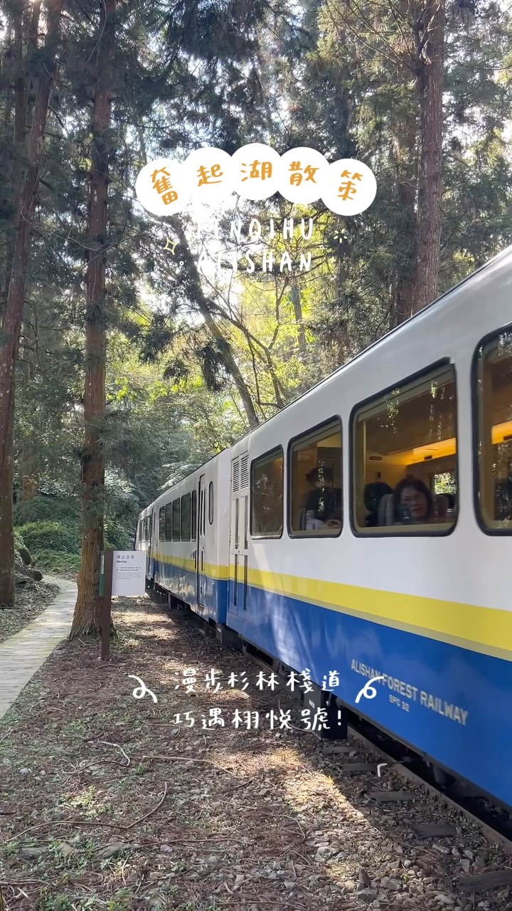 半日漫遊奮起湖，散策路線看這裡！中午先吃吃喝喝飽餐一頓接著跟隨志工老師漫步南側步道，一邊聆聽生態導覽◠散策路徑➲肖楠母樹林⭢奮起湖...