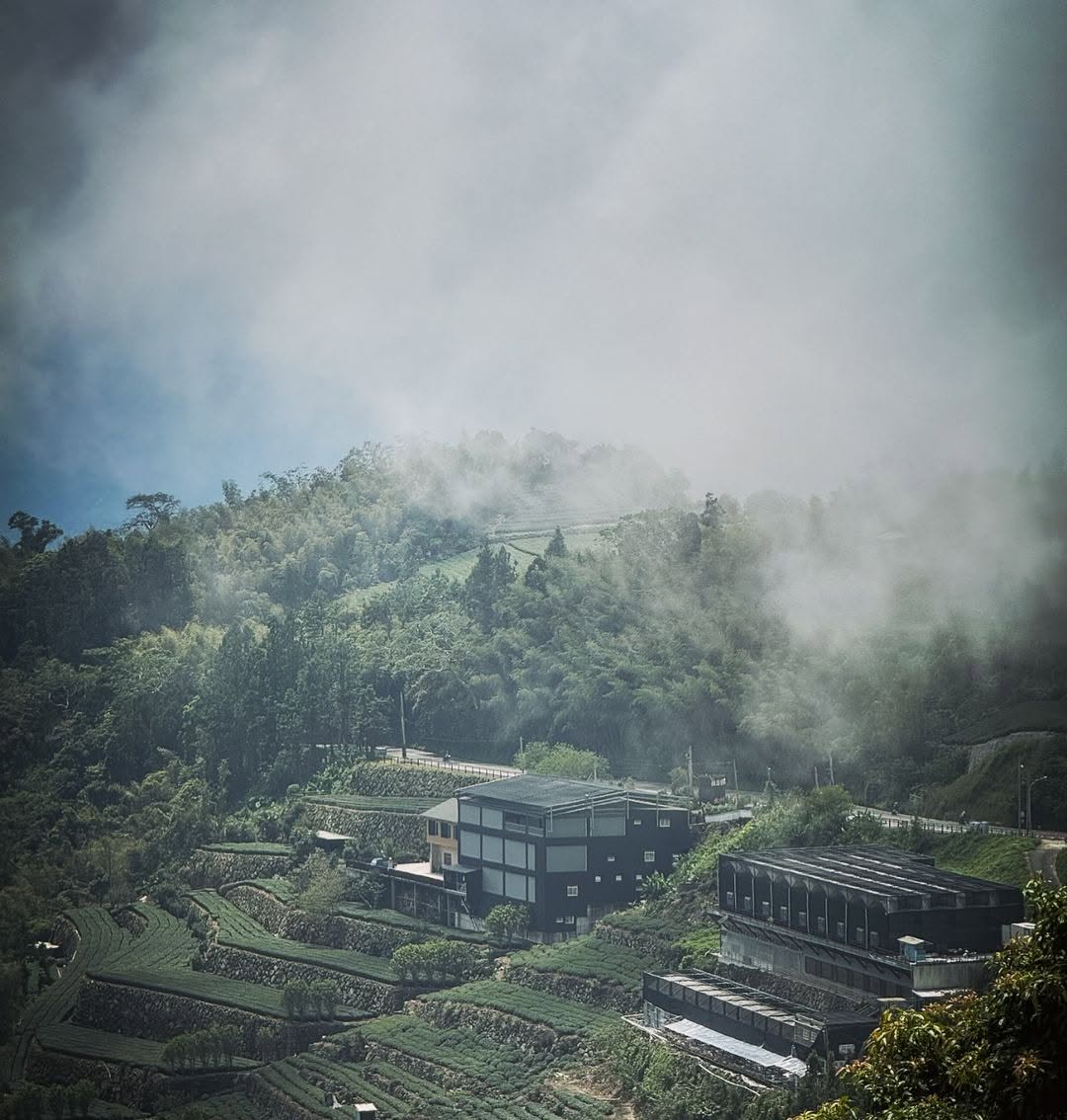 山區的美，就是隨意駐足在公路旁眺望的山景，雲霧的點綴❤還有讓人想像那海拔的溫差，造就富有香氣、口感甘醇的阿里山茶感謝 @surpa...