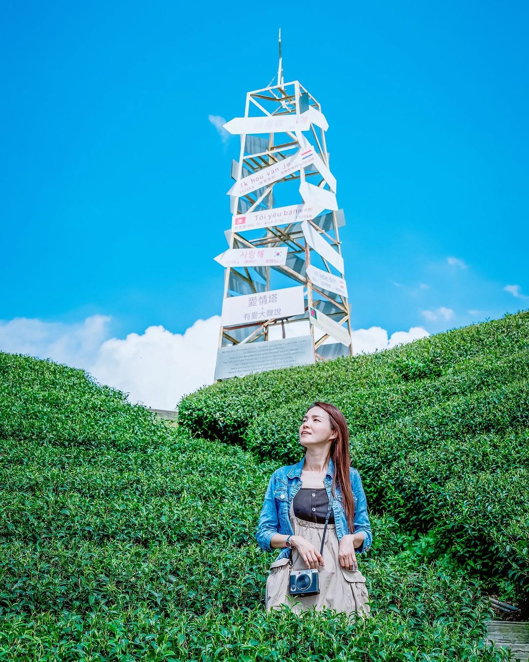 藍天與綠油油的茶園相映⛰大自然令人著迷的點就是些微差異的光線就會造就不同的景色1314觀景台感謝 @hsien_lin05  美照...