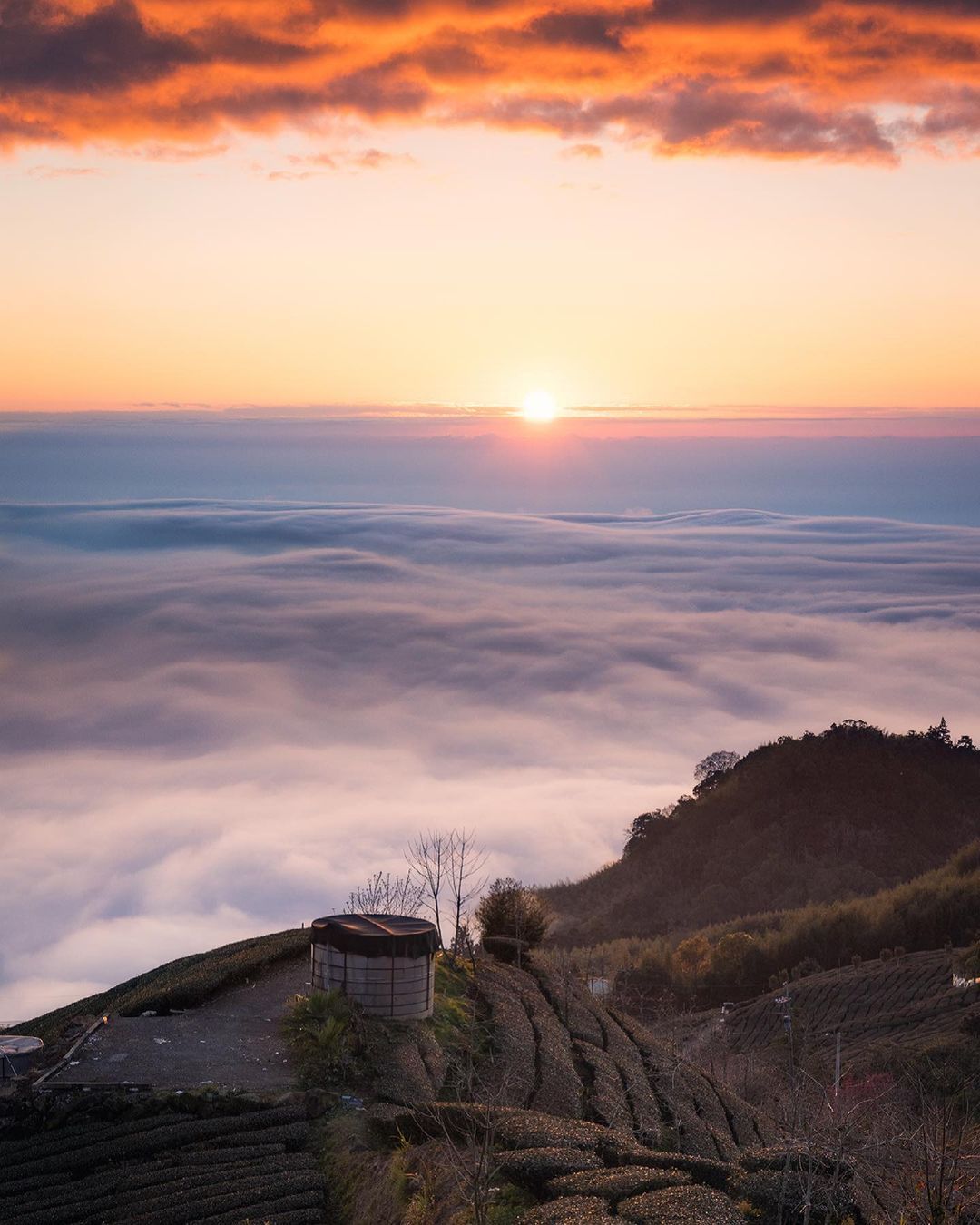 看似溫柔又溫暖的夕陽雲海感謝 @skill84532  美照分享-⠀歡迎在您的貼文及限動 #travelalishan 或 @tr...