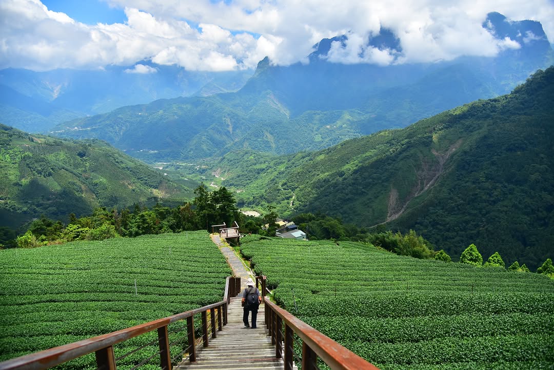 忙碌的週一‍一週才剛開始～是不是又想放假了？看看這片山景，週一的心聲只有一句：想上山了啦～～～⛰️（吶喊）有人也是嗎？-#巃仔尾步...