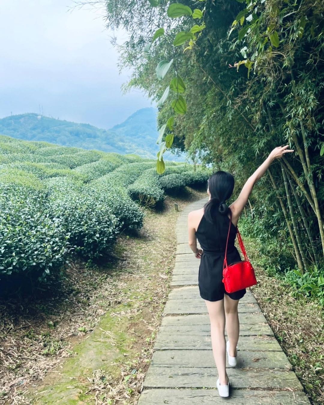 走完太平雲梯會遇到岔路，你選哪一條呢？提醒指示牌上是這麼寫的...❶好漢坡268階 ( ➠雲之南道 )❷向下緩坡到服務中心是不是看...