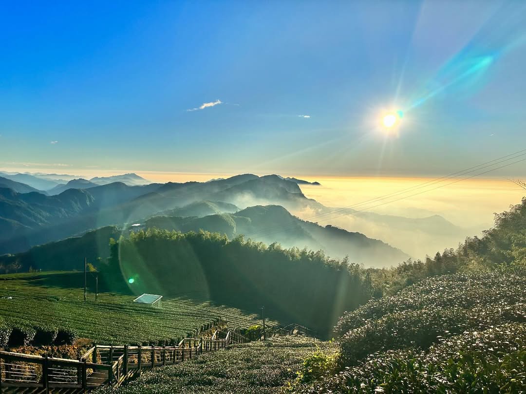 最近轄區的熱門搜尋石棹步道群是愛、霧、雲、霞、櫻、茶之道所串聯的步道群六條步道各有各的特色，你都走過了嗎？霞之道最著名的是日落時分...