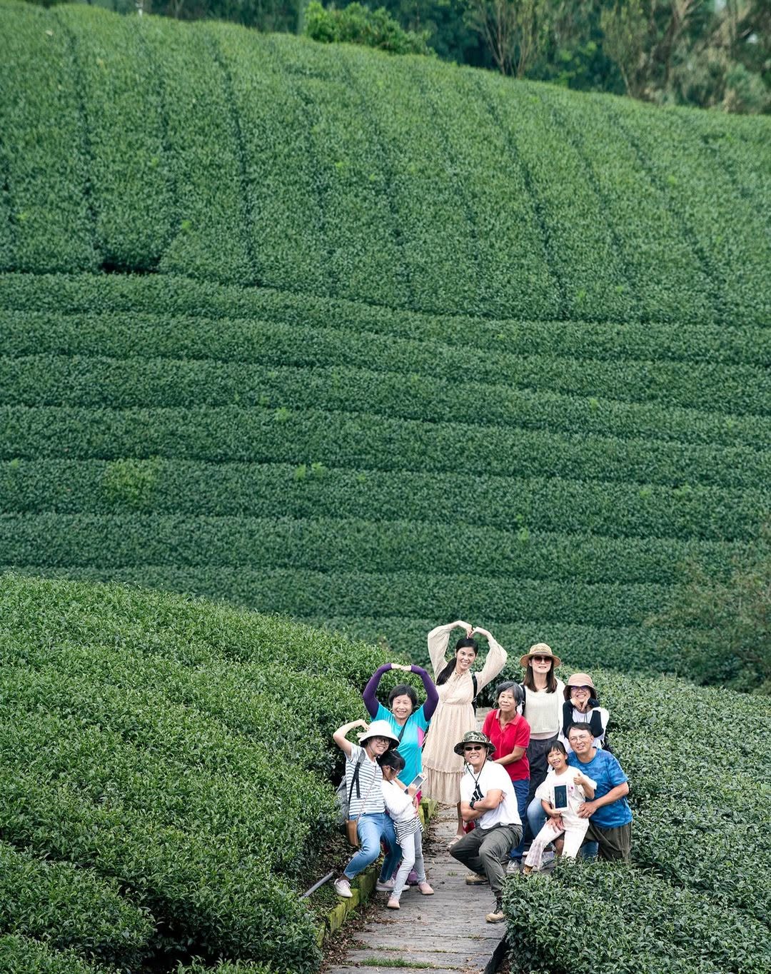 好喜歡這個取景～鏡頭裡的開心展露無疑為海鼠山茶園注入滿滿活力！一起出遊的日子總是歡樂感謝 @w.z.c_photographer ...