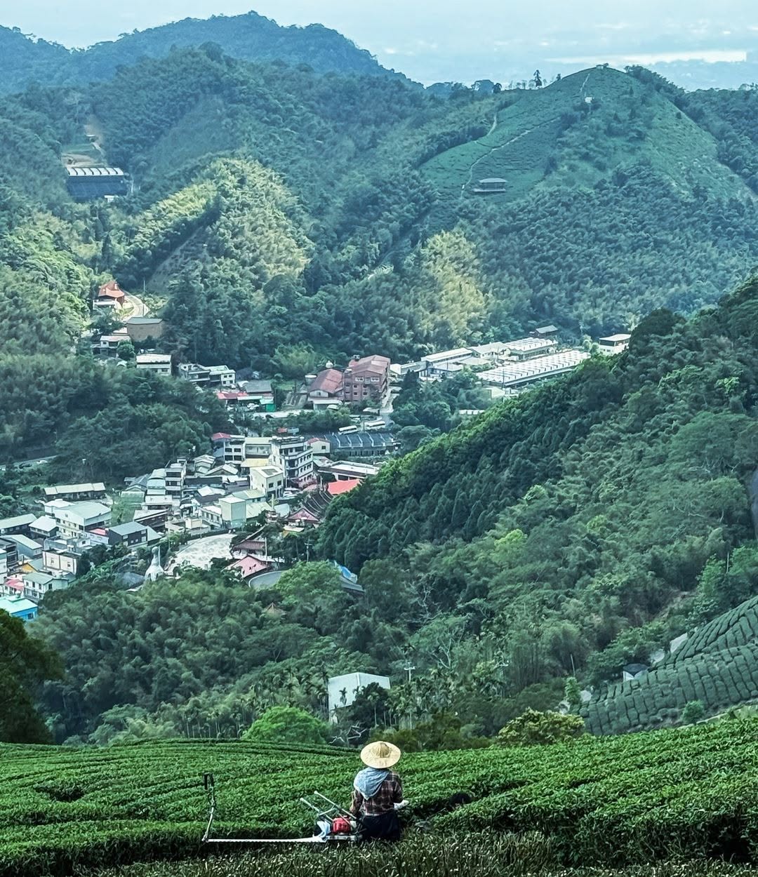 雲嘉四連峰、五連峰、七連峰，是不是都有聽過呢？⛰要連幾座山取決於你的腳力與體力啦！不滿足於輕鬆健行的步道，又還沒有信心爬大山，很適...