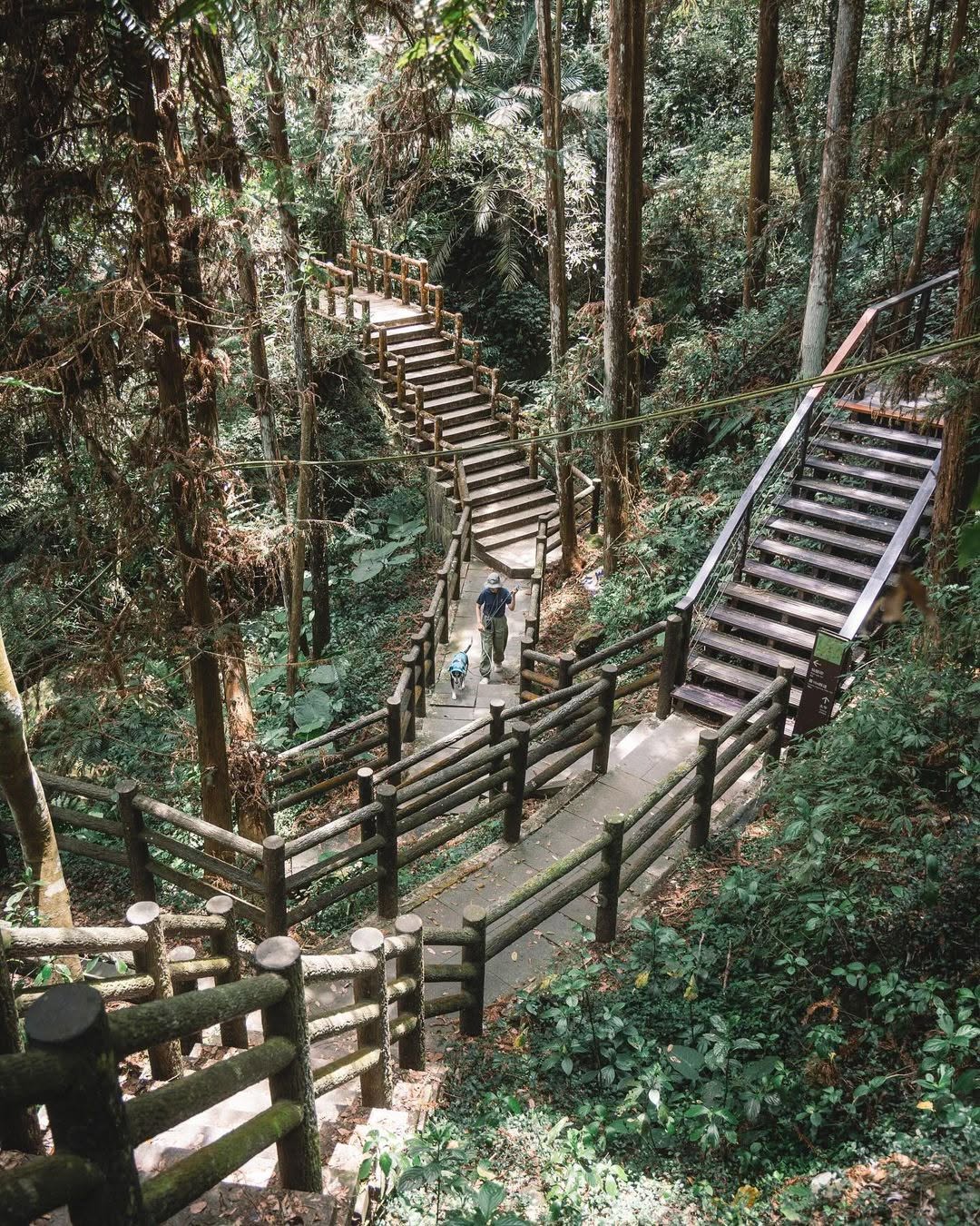 嘉義梅山太平村的秘境步道——仙人堀步道，是一條短程又充滿驚喜的小徑，步步藏著故事與自然奇觀！步道特色看點是岩石上水蝕作用留下的痕跡...