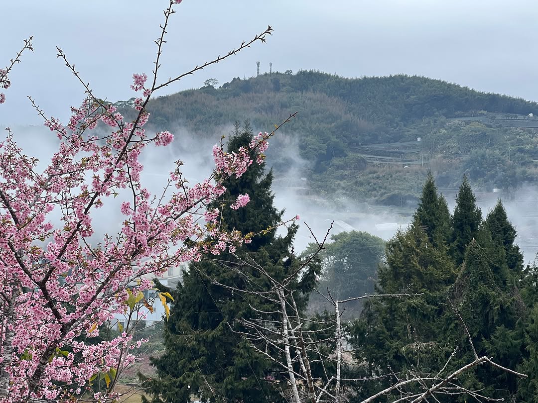 歲末除夕，萬家團圓爆竹聲聲辭舊歲，團圓飯桌笑語暖。這一夜，不僅是歲月的交替，更是親情的守候。願燈火點亮每個家的溫馨，笑聲溫暖彼此的...