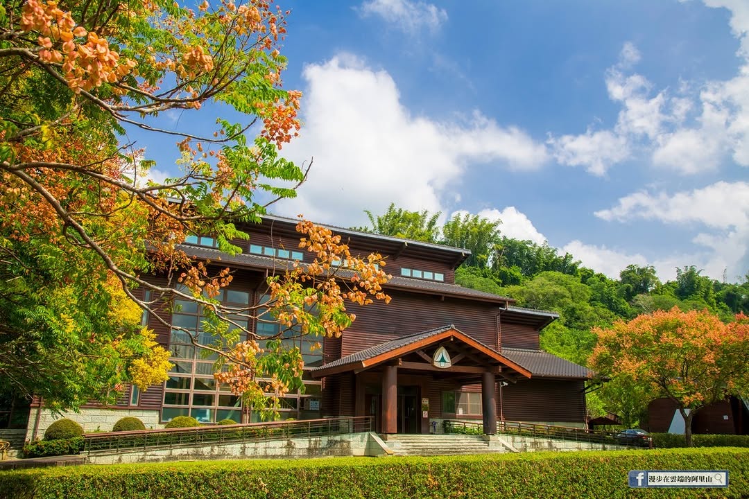 讚碳阿里山，一起趣種樹！ #免費贈苗3/8㊅ 植樹節限定！用行動為地球增添一抹綠❝ 免費贈苗 800 株 ❞ ⓺ 種珍貴原生樹苗...