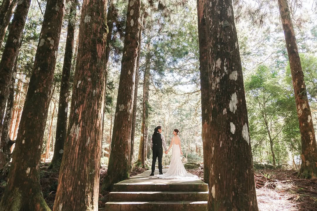 浪漫阿里山~亙古不變的愛 #浪漫驚喜百年神木佇立山間，靜靜守護每一段深情誓言。這片山林，承載無數動人故事——雲霧間悄然綻放的告白...
