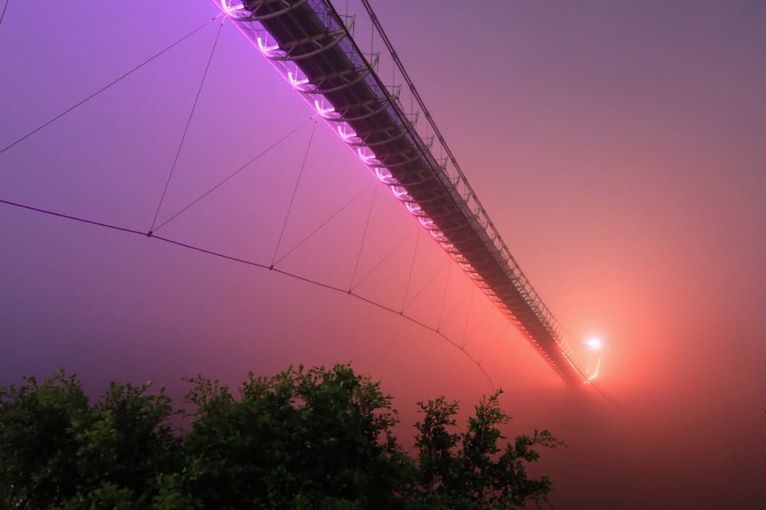 橋上的燈光將雲霧染上夢幻的色彩柔和的光線透過霧氣，創造出一幅神秘而浪漫的畫面期待太平雲梯全新版本的音樂燈光秀不曉得有沒有人遇到測試...