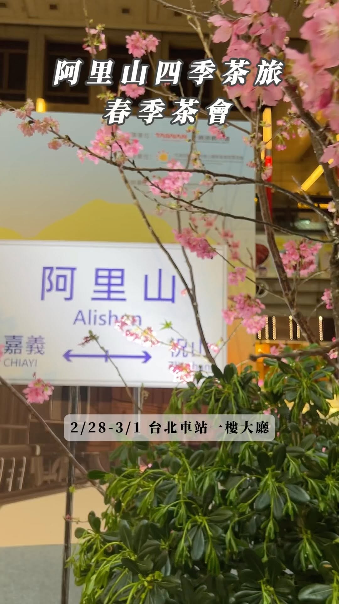 阿里山四季茶旅。春季茶會兩天活動在台北車站一樓大廳，免費茶席體驗，路過就坐下來品杯阿里山的春茶新韻跟大家說，夏秋冬日期記起來吧！等...