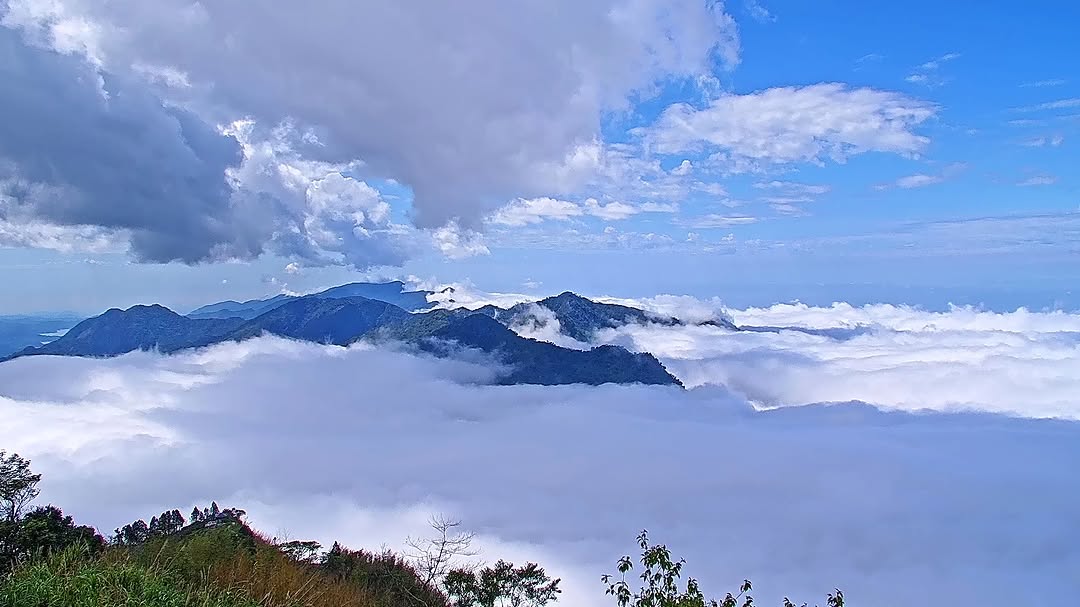 共享雲海美景❤☁️☁️昨天夜裡，下過雨的天空，繁星點點⛧⭑꙳今日早晨，雲霧集合成大片雲海º尋找可愛的小亮點૮ ･ ﻌ･ა-#ali...