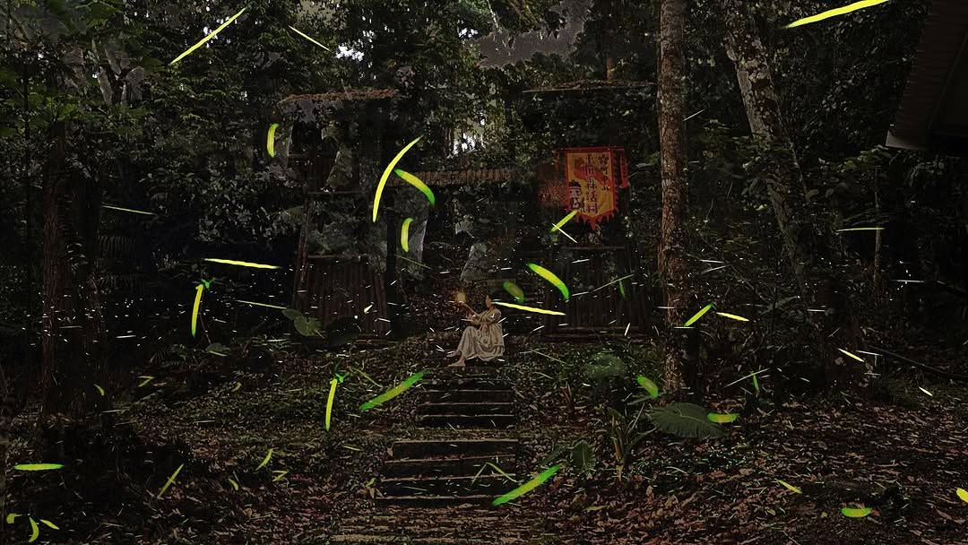 春末夏初的盛宴，每次飛舞都是生命綻放的最後一刻公興森態園區⟡ /㊅ -/㊐，園區開放時間:-:⟡ 門票50元 ( 可抵消費 )，對...