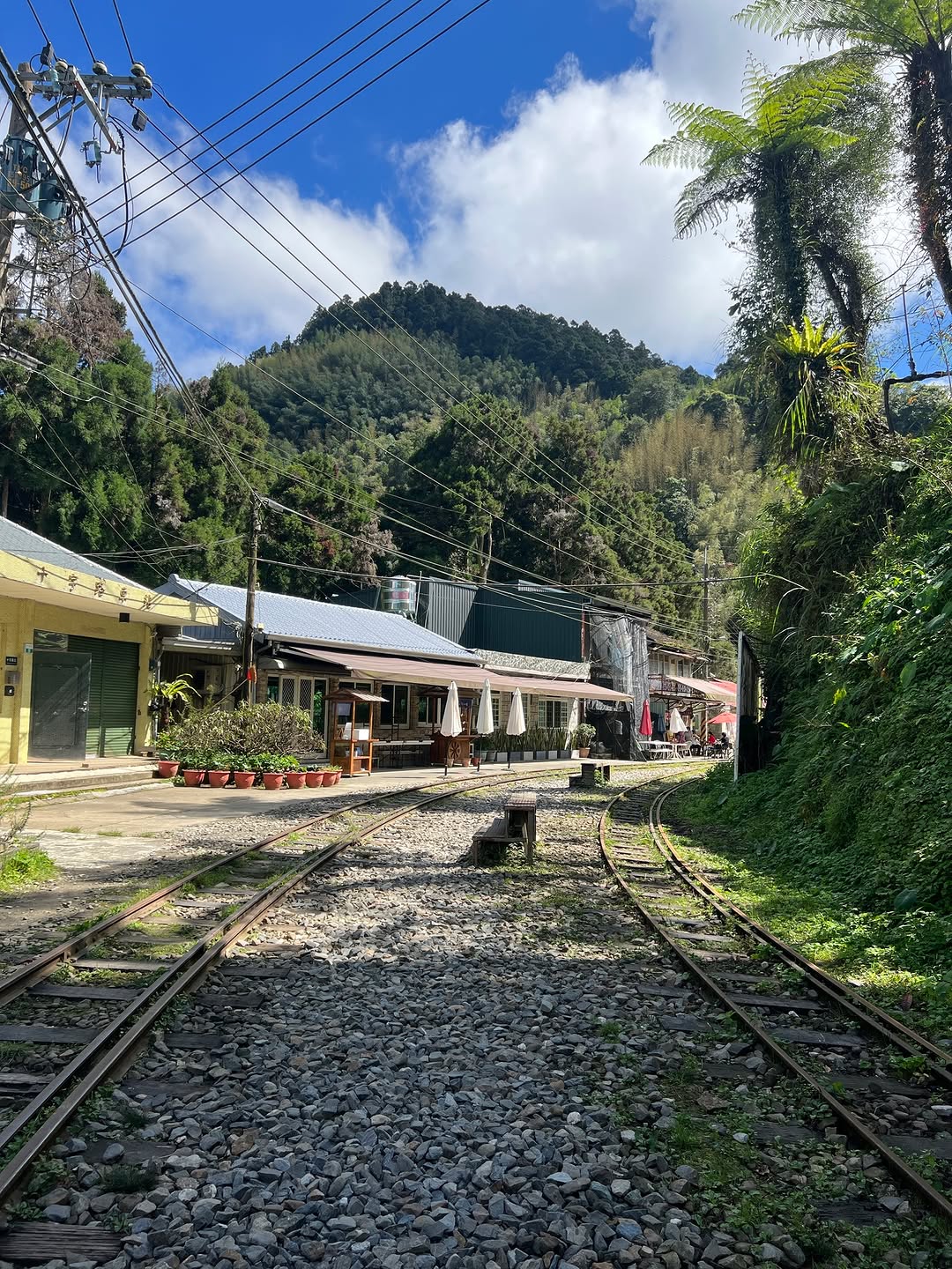 連假最後一天的愜意留給自己找個眺望山景，沉浸在山林裡的據點發呆~放空~十字鳴心咖啡飲山郁璟隆咖啡莊園阿榮的店阿將的家鄒築園鄒族亭愛...
