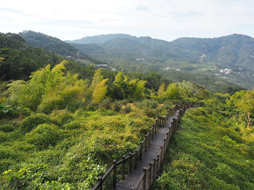 沿著166縣道上山，有許多熱門景點或是你聽過但不太熟悉的村莊，一一細數每個村莊的自然資源還有從前的故事。這個平台是太興岩步道其中一...