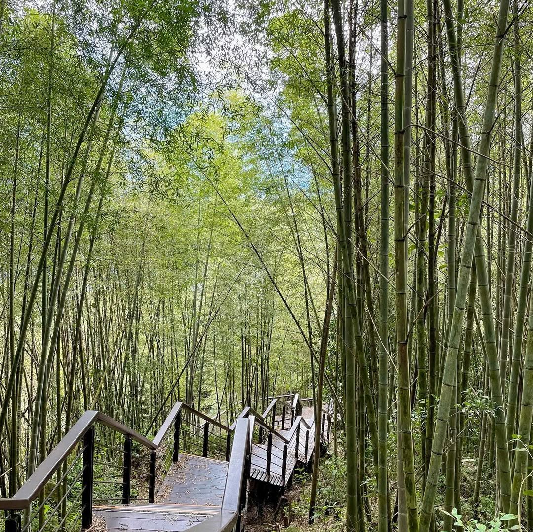 茶林山步道就在熱門的二延平步道附近，不同於前者，想看日出就來茶林山步道啦！走起來輕輕鬆鬆，眺望茶園與山景，但沿途較少遮蔭，要注意防...