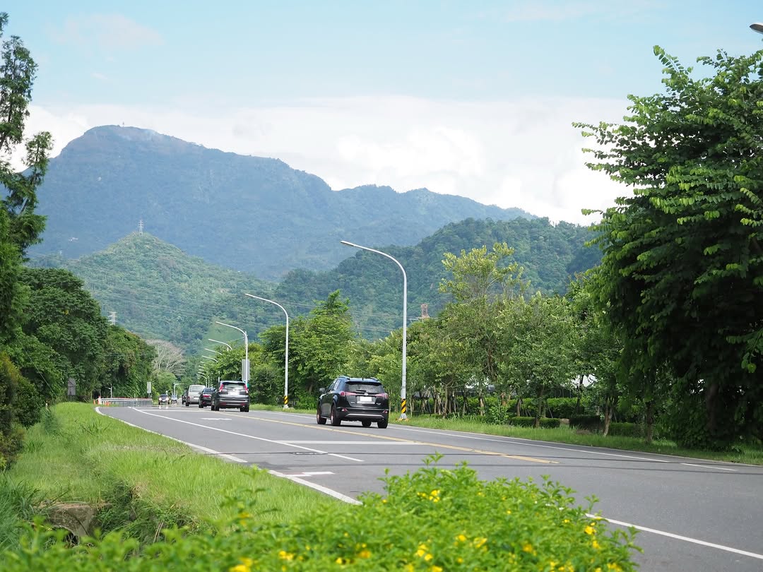 早上上班覺得阿里山公路上車很多還想說為什麼呢，今天才星期四耶同事一說，才想起來今天是 #51勞動節 啦～( 難怪朋友動態說：小小孩...