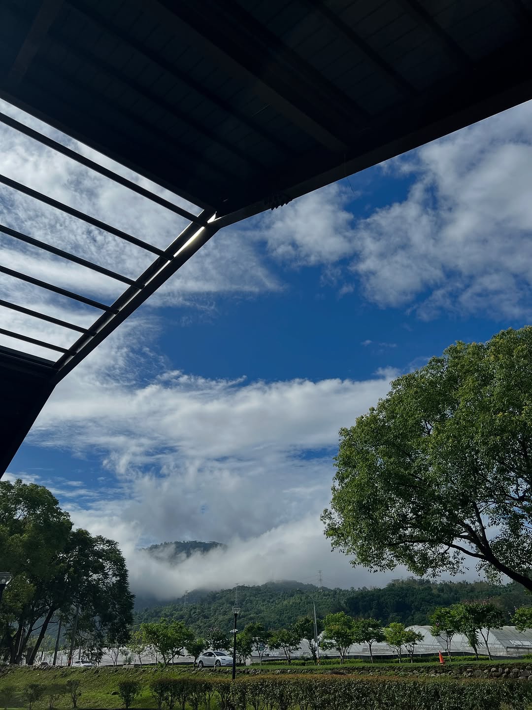 一早上班在停車場看到的天空好美先拍起來再上班～其實在剛駛進阿里山公路時，眼前一亮！從樹林銀行這段看著眼前雲霧繞著山群，就好～想～拍...