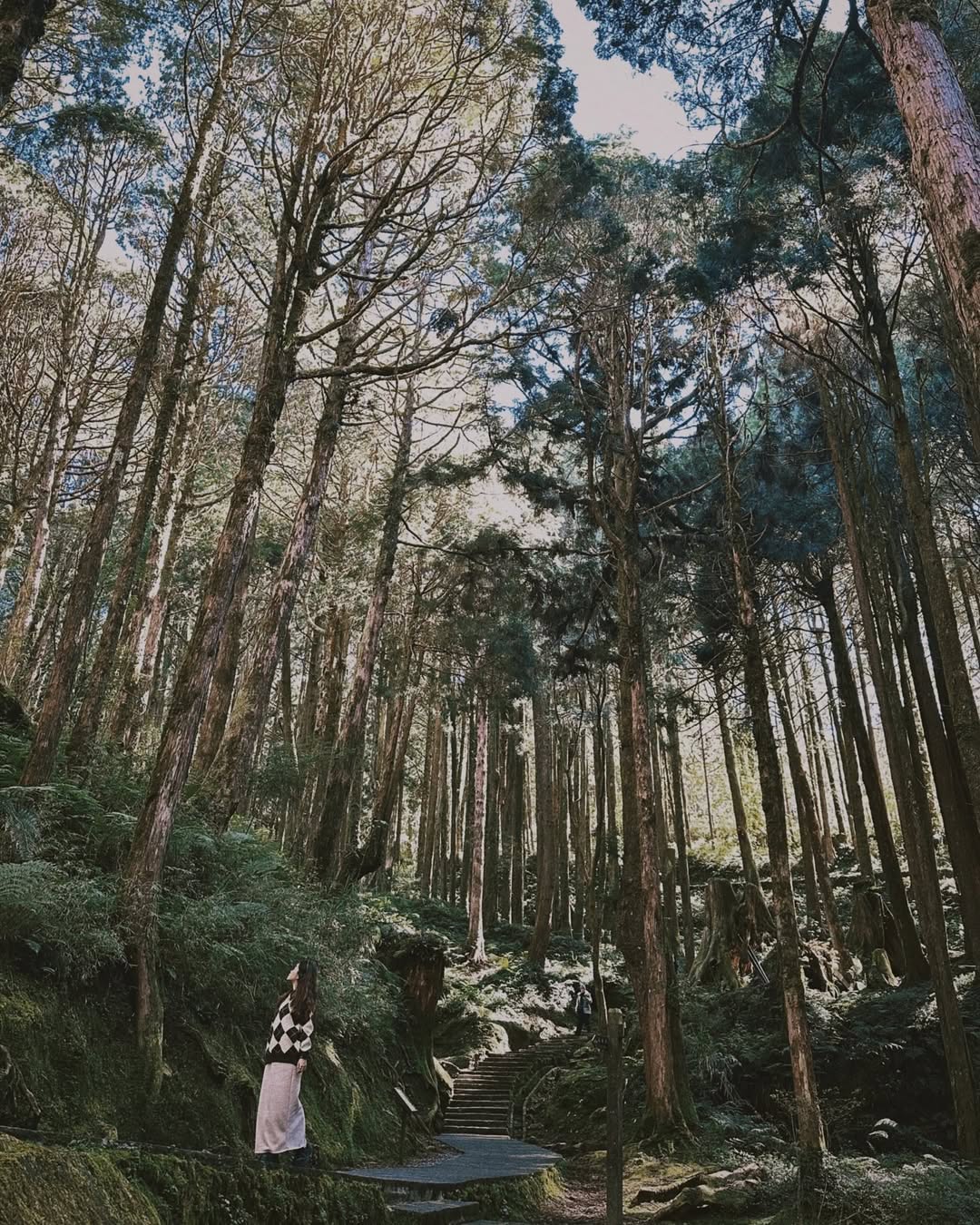想把圍繞在身邊的森林，通通裝進觀景窗裡❤每次走在森林中，都會想辦法，把再高大的樹都拍進照片裡感謝 @cherlyn_cheney ...