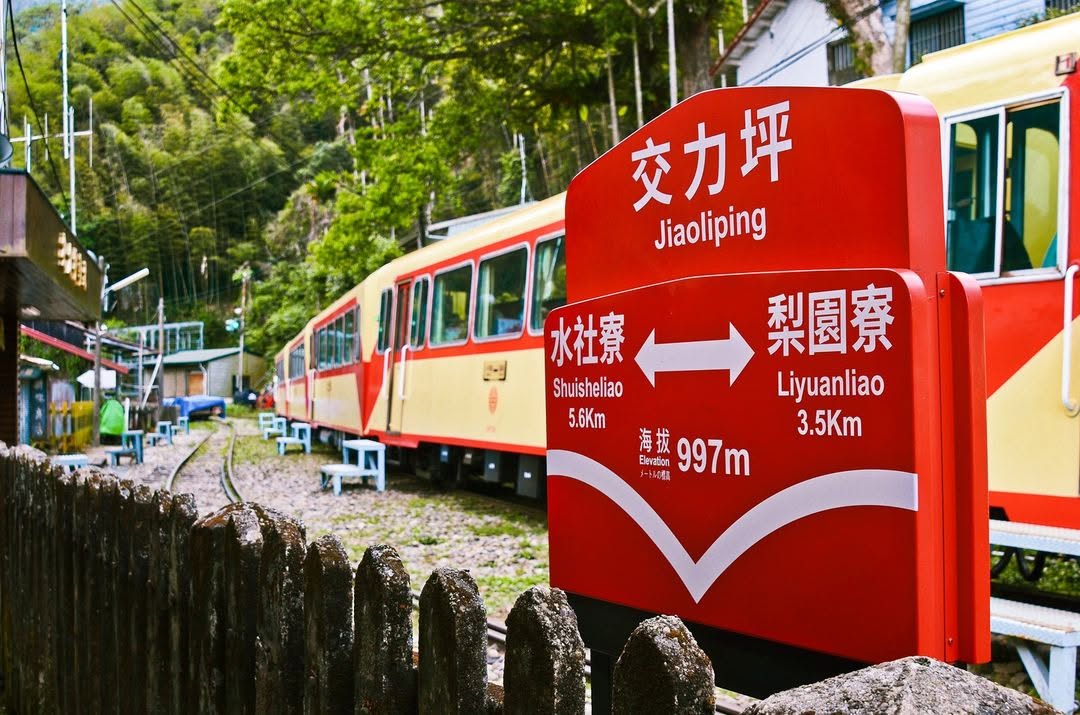 交力坪車站是阿里山小火車上下山的交會點，當時商人與居民在這匯集，帶來繁榮勝景，車站旁那間傳承三代的百年柑仔店，依然守著山嵐與鐵道，...