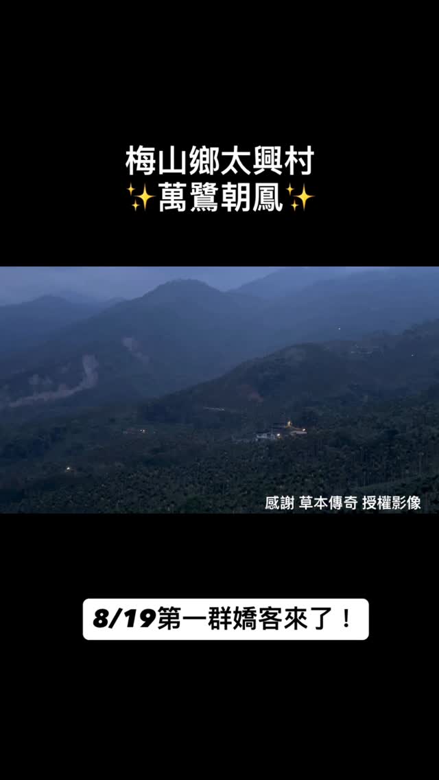 一年一度我們的嬌客來了～～～太興村居民在0819拍攝到第一群黃頭鷺剛開始會比較小群一點大家可以開始安排行程！山編陸續來推薦行程感謝...
