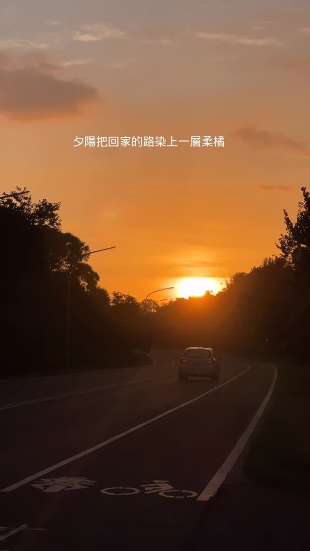 下班時間的阿里山公路夕陽把山染成金色的詩陪你走過星期一的疲憊剛剛在路上奔跑的怪人就是山編我( 在安全情況下拍攝 )颱風腳步緩緩靠近...