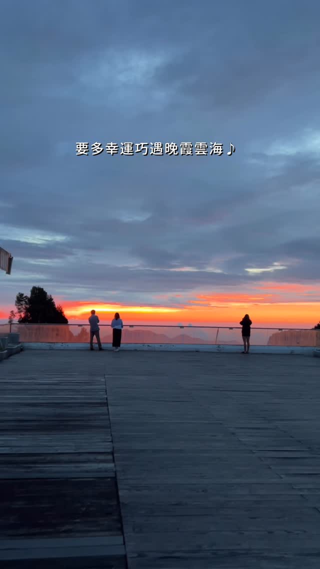 驚喜！阿里山的晚霞雲海搭配14度的氣溫為神木下婚禮增添美麗色彩-#阿里山 #晚霞 #雲海 #alishan #seaofcloud...