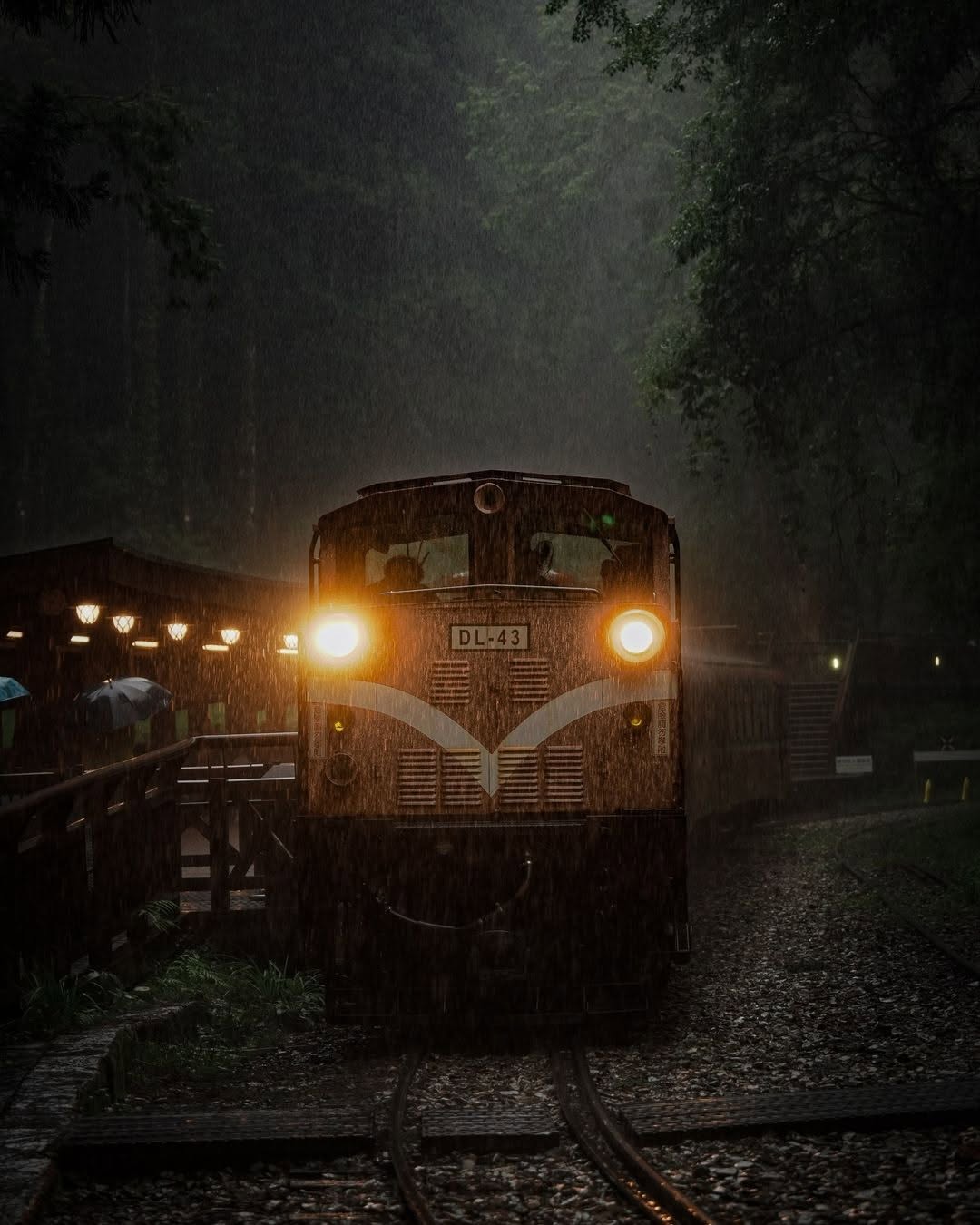 穿梭在森林裡的小火車是經典不敗的風景～在冬季還有主題列車是搭配蒸汽火車頭喔！明年會有新樣貌的車廂加入行列讓人也好期待呀預告要來抽9...