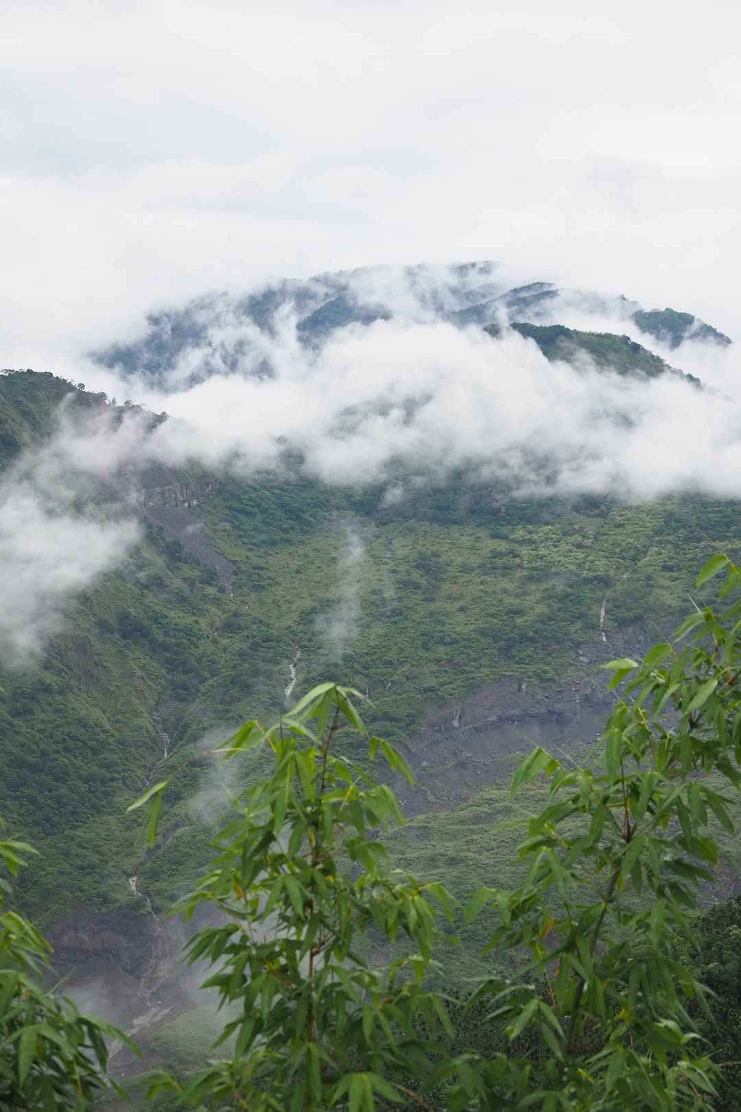 #鳳凰颱風 嘉義縣明日11/12停班停課拜託拜託～颱風輕輕走過就好​相關公告▪ 本處觸口遊客中心、文峰遊客中心及里佳資訊站閉館。▪...
