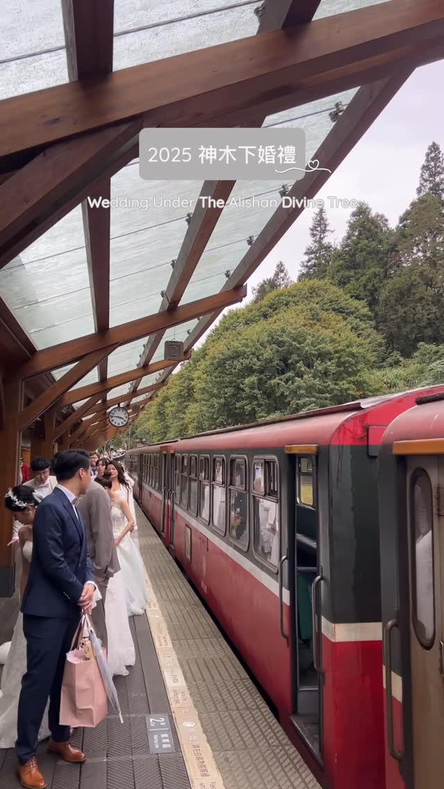 19年不變的浪漫！♡神木下婚禮禮成♡每年被閃、被粉紅泡泡包圍的日子兩日婚旅、證婚儀式、婚拍在微涼天氣裡順利完成 .ᐟ.ᐟ​象徵祝福...