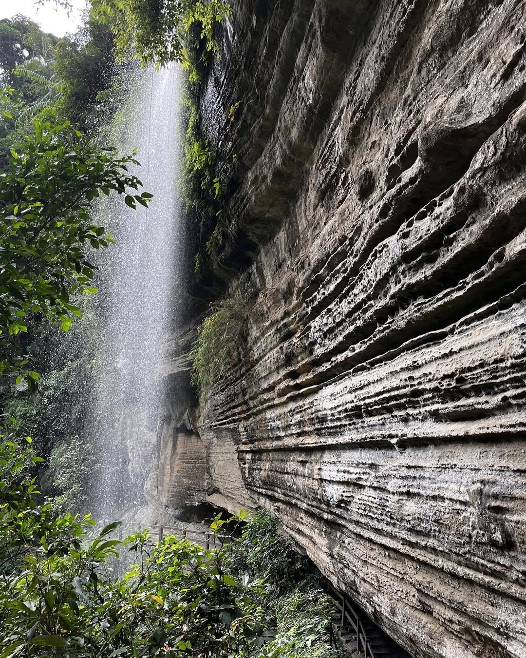 跟大家說• 瑞里青年嶺步道 • 重新開放啦～～～來來～歡迎各位來挑戰你的腳力資深山友們會說輕輕鬆鬆get！單純想運動流流汗的山粉也...