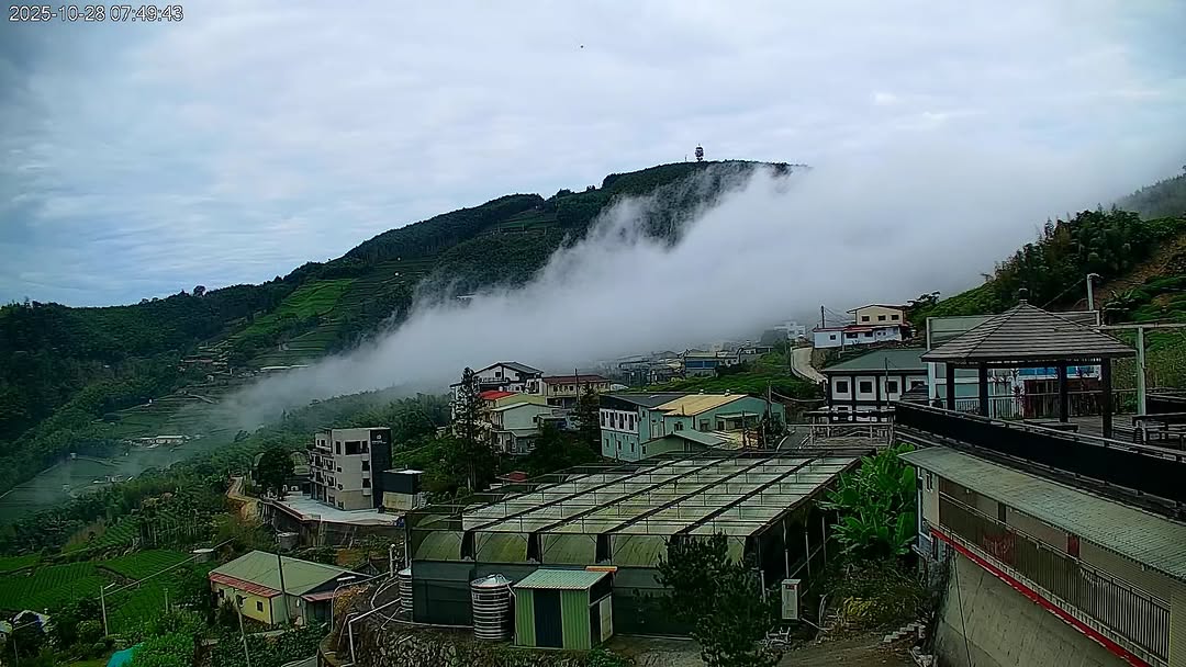 早安！天氣變涼了～是舒適的溫度～蓬鬆的雲海也越來越常出現啦～-#alishan #seaofclouds #阿里山 #雲海 #雲瀑...