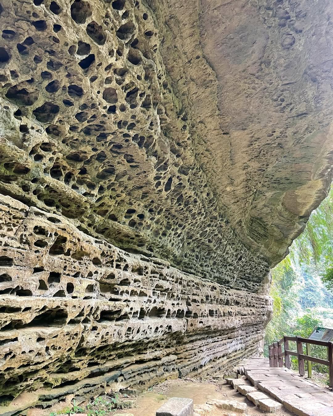 青年嶺步道歷經步道整修、風災過後，封閉好長一段時間～上個月重新開放，周末還不知道要去哪裡嗎？推薦來這裡走走、流流汗運動後推薦往瑞里...