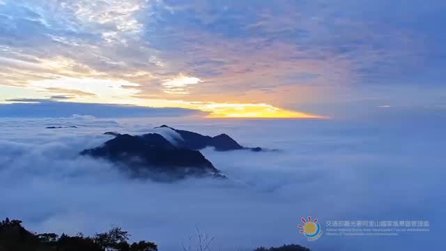 熱騰騰的～日落雲海就等那一瞬間～心動啊❤️▶️2025.11.19二延平步道即時影像畫面-#阿里山雲海 #二延平步道 #日落 #夕...